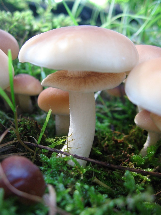 Dal giardino in settembre